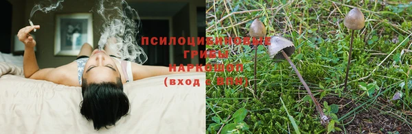 не бодяженный Пестово
