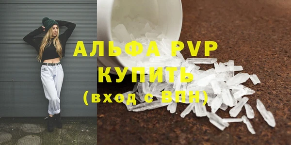 стафф Осинники