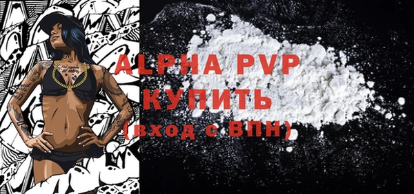 стафф Осинники