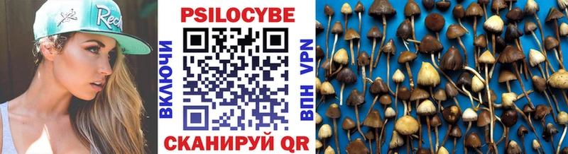 Галлюциногенные грибы мицелий  купить закладку  Кириллов 